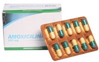 Halfsynthetische Antibiotische de Drug Bestand Bacteriën van amoxicilinetabletten 500mg